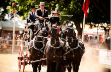 Mellem 80.000 og 90.000 mennesker forventes at dukke op til det traditionsrige dyrskue i Roskilde. Foto: Roskilde Dyrskue.